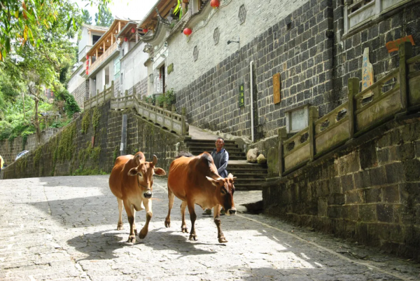 熱愛旅行的香港人，走過20多個國家，卻在雲南邊陲小鎮開了家客棧