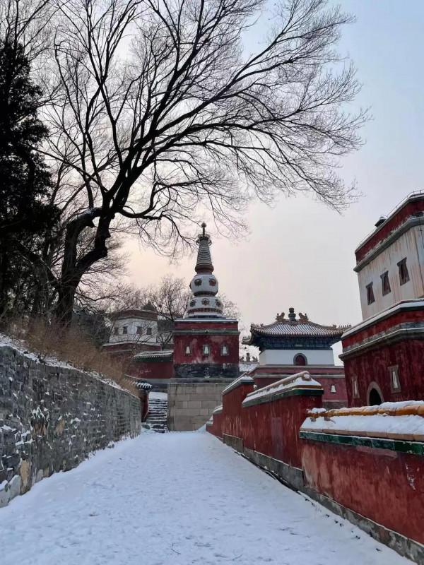 京城冬雪會作畫