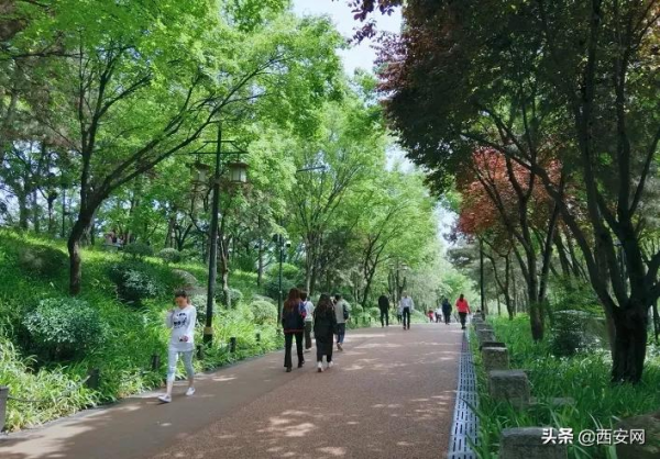 秋季必去盤點,這裡竟然高達五星 秋季必去盤點,這裡竟然高達五星