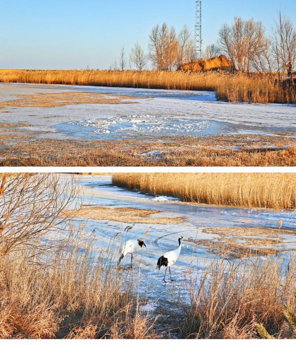 坐著火車去旅行，這5趟火車此生一定要坐一次，你最想體驗哪一趟