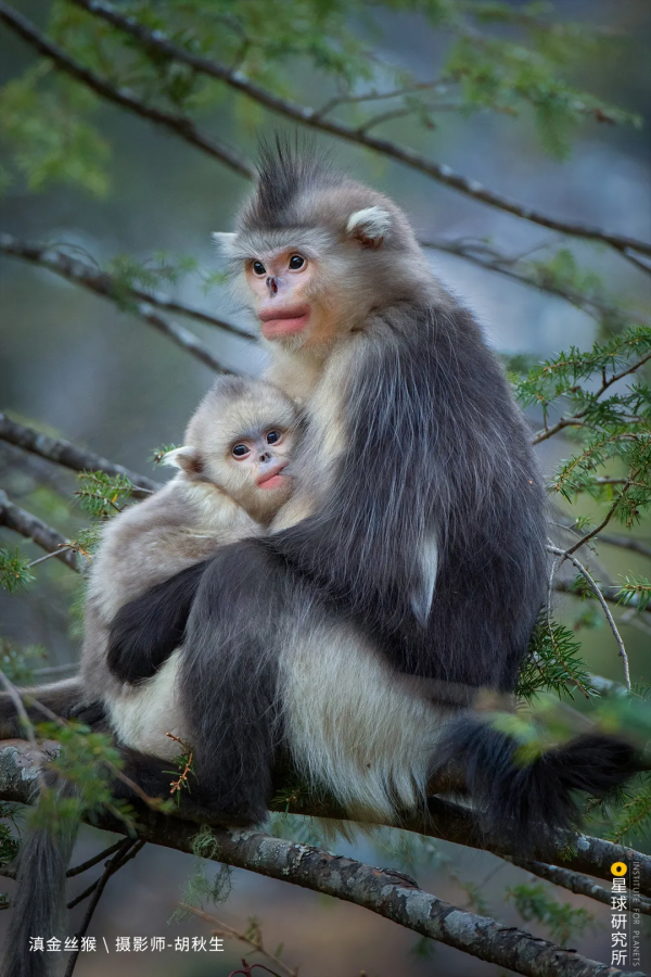出發!穿越中國最長國道219 出發!穿越中國最長國道219