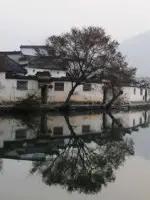 106張照片，美到眼睛移不開