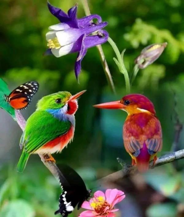 鳥語花香一一與你分享