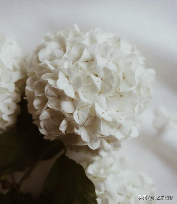 「理財知識」儲蓄要講方法,錢生錢有妙招 「理財知識」儲蓄要講方法,錢生錢有妙招