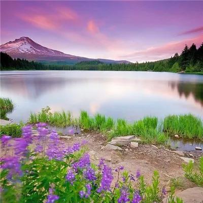 轉:填詞常用的20個領字(附例詞) 轉:填詞常用的20個領字(附例詞)