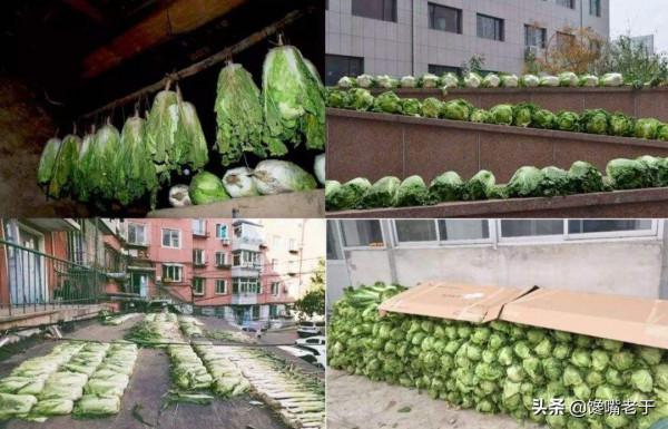 入九後,有條件多吃“冬補4寶”,應季而食,補足營養好過冬 入九後,有條件多吃“冬補4寶”,應季而食,補足營養好過冬