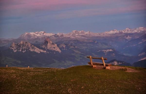 北大,永遠的熱愛! 北大,永遠的熱愛!