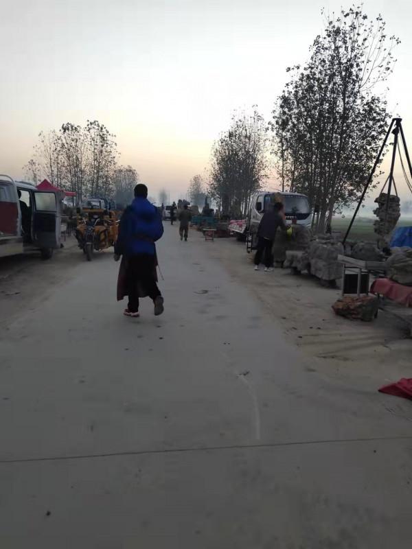 再探靈璧石原產地漁溝早市 再探靈璧石原產地漁溝早市