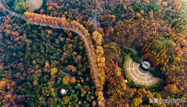 秋天的第一場旅行，你可以去這6個地方。一入秋，他們就變色了…