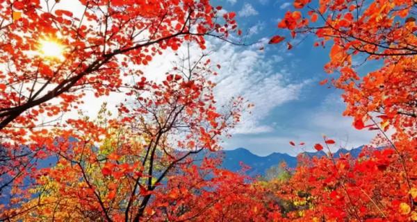 避開擁擠的人潮，7個值得去的北京賞紅葉之地