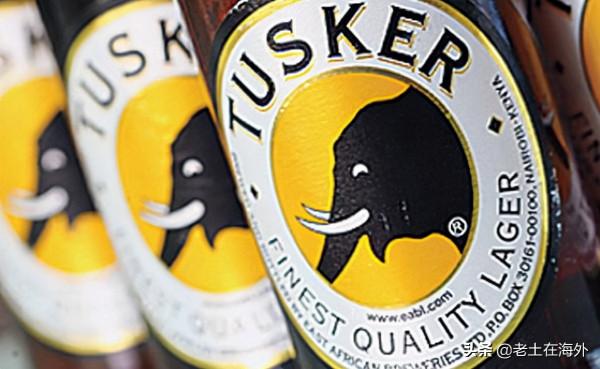 非洲啤酒瓶大度數高，黑人一瓶就東倒西歪，中國人最多兩瓶