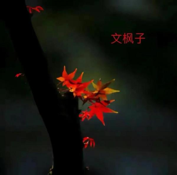 好訊息還是壞訊息？NBA將迎重大變革，官方欲設立四分球規則