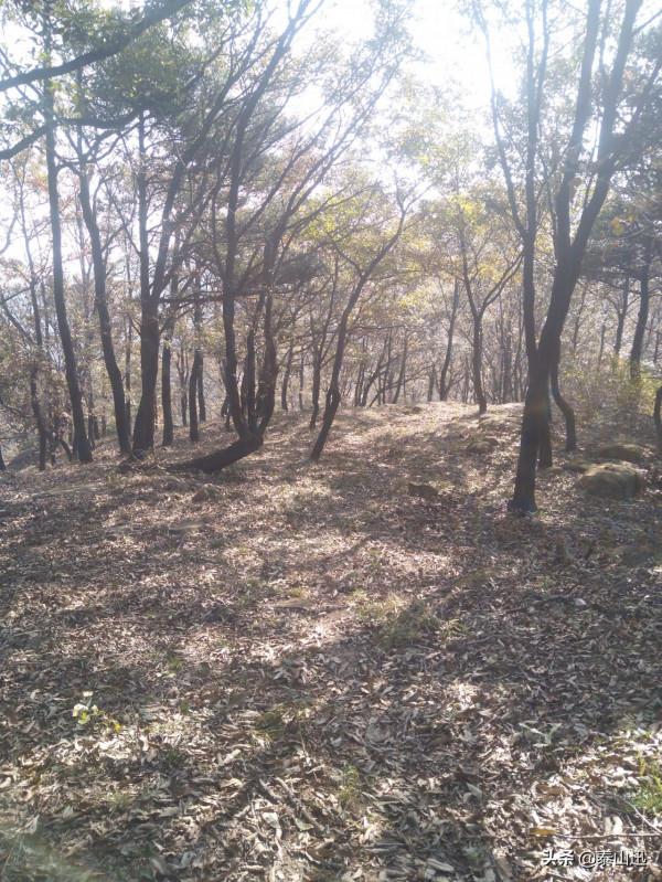 獨行泰山之走三梁