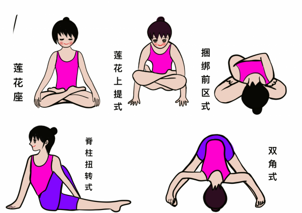 哈他瑜伽最經典的84個體式筆記圖文分享