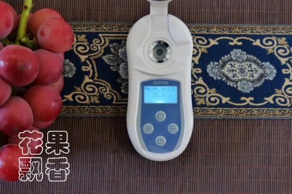 為什麼大家喜歡跳新品種的坑? 為什麼大家喜歡跳新品種的坑?