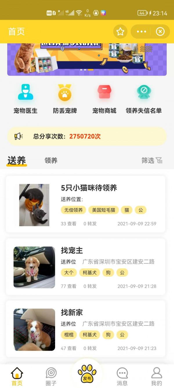 如何領養寵物,領養寵物必須知道的幾件事 如何領養寵物,領養寵物必須知道的幾件事