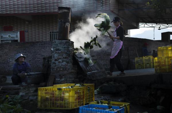 英德特產——白菜乾