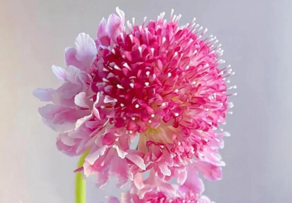 《道德經》真正的明白人，尊重他人，不掌控，不要求，不干涉他人