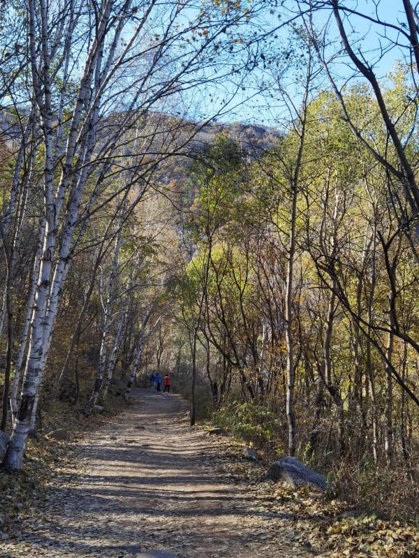 喇叭溝門——秋季賞楓賞白樺 喇叭溝門——秋季賞楓賞白樺