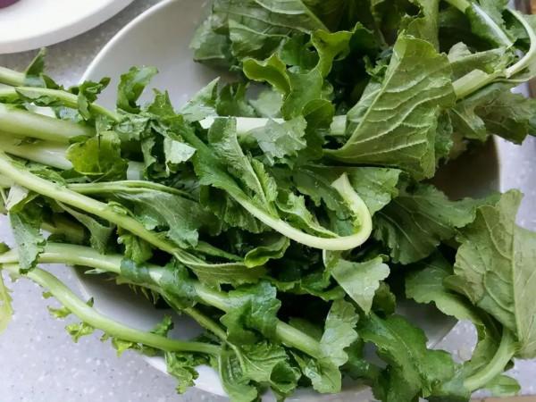 這些蔬菜不要放冰箱,容易變味變質!第一種你家就有 這些蔬菜不要放冰箱,容易變味變質!第一種你家就有