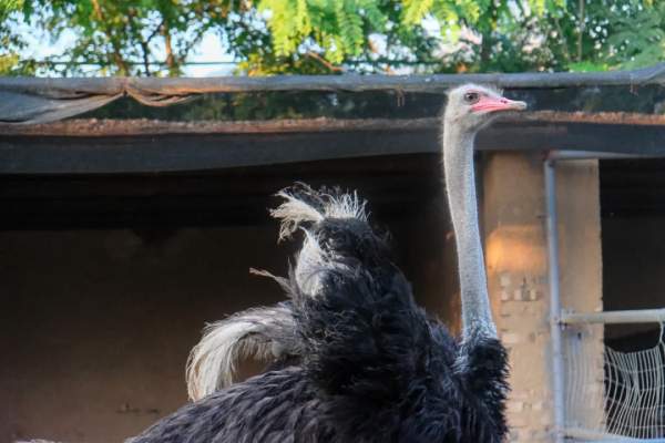 好吃,好玩,好看!京郊避暑勝地居然還有這麼有趣的地方! 好吃,好玩,好看!京郊避暑勝地居然還有這麼有趣的地方!
