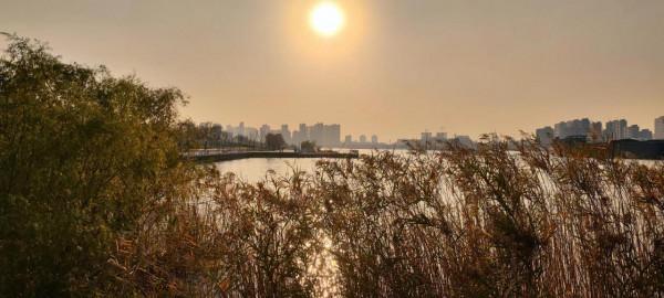 小米MIX4相機日常使用報告（一）