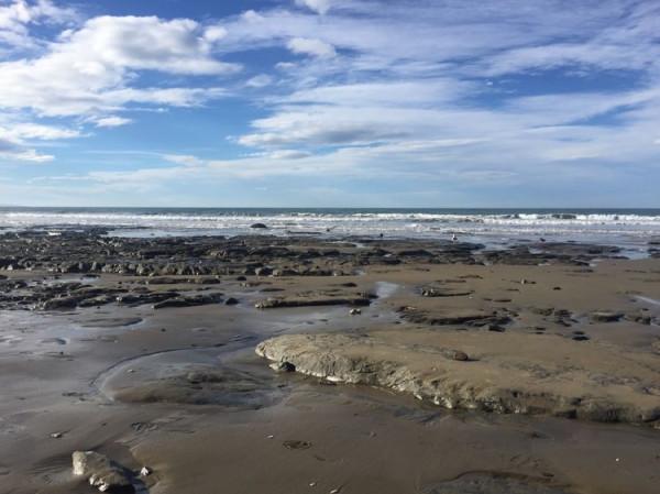 上帝的自留地紐西蘭（7）&mdash;&mdash;圓石、蛤蜊、自由奔放