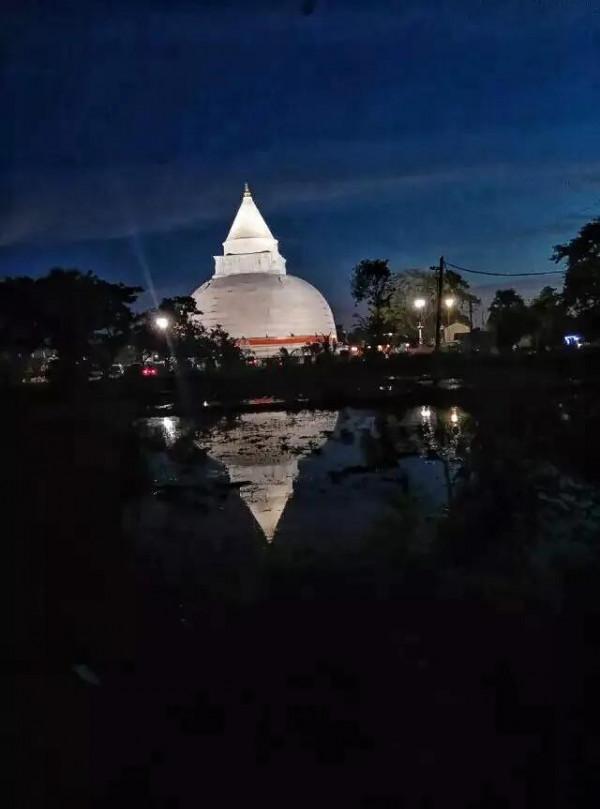 斯里蘭卡--回味無窮的青橄欖