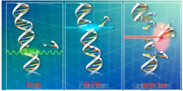 打碎癌細胞的DNA，日立粒子線系統治療癌症就這麼精準