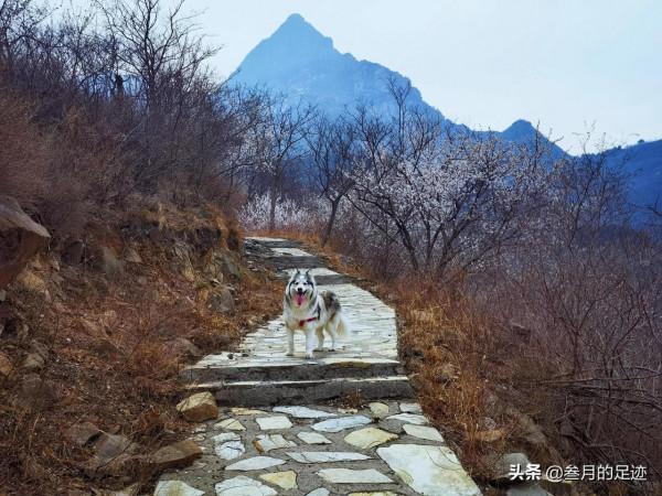 北京房山，清幽靜美古村落，卻是登山踏春賞花好去處