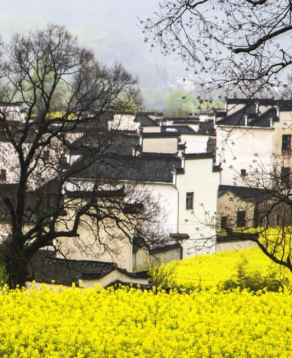 有一種心動，叫黟縣的四季