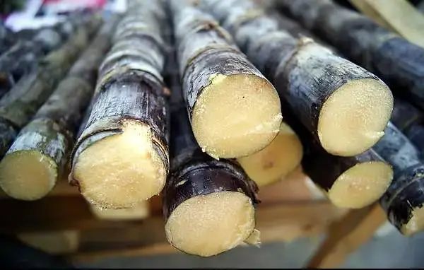 發黴、腐爛？食物發生這種情況需提高警惕