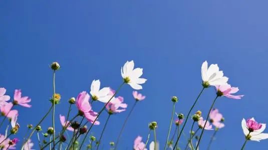 學會與自己相處