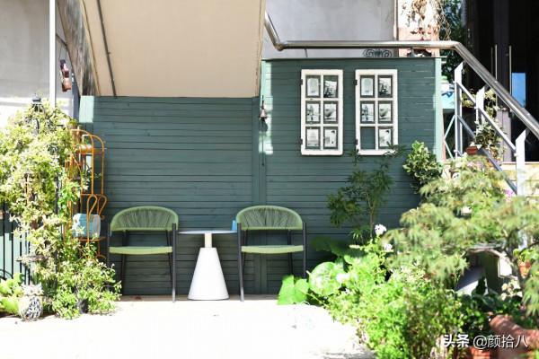 綠色背景牆的角落，聞著番木瓜花的香味賞月啦 | 園丁