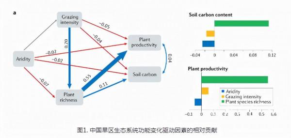 8年4次當選院士！昨天，他的研究成果，再次引發國際關注！