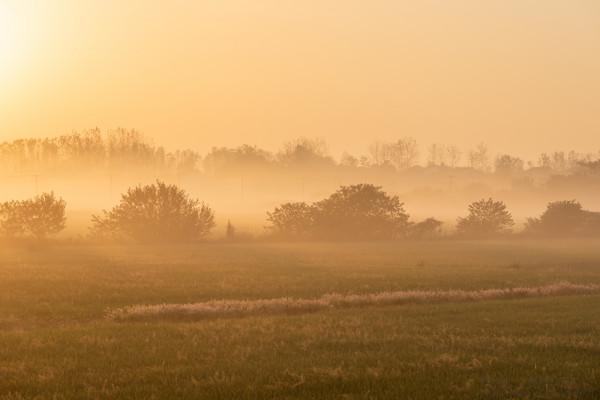 深秋,鄉村晨霧 深秋,鄉村晨霧