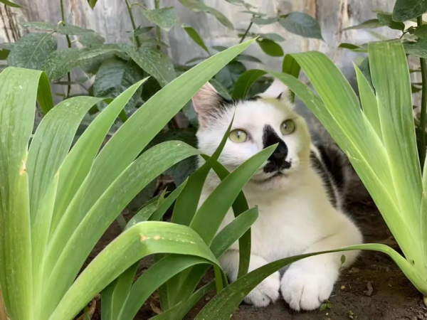 古有“竹林七賢”今有“觀復七閒” 古有“竹林七賢”今有“觀復七閒”