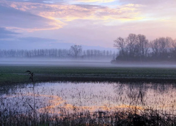在你的記憶中是否有那麼一條小徑讓你難以忘懷？