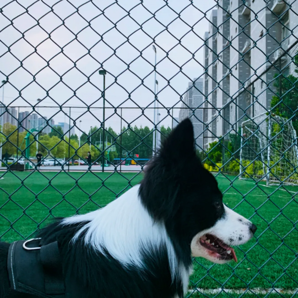 海馬人的朋友圈美爆了！戳進來，看看雪後海馬有多美