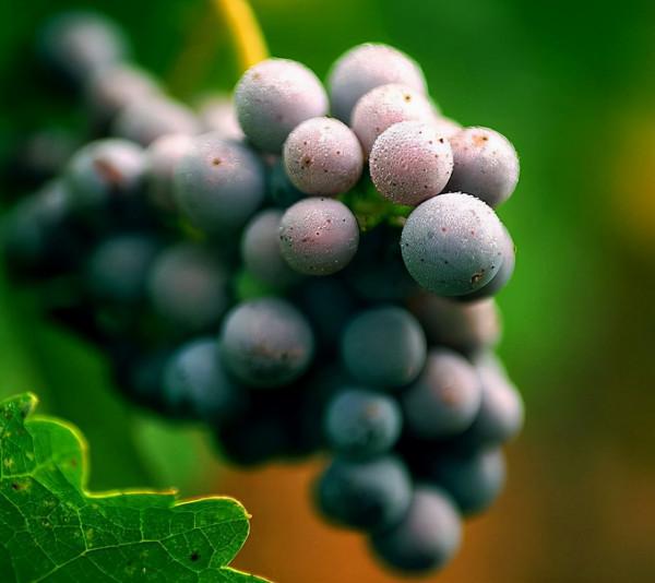 家長們注意：5種垃圾食品，對孩子健康不利，少往家裡買