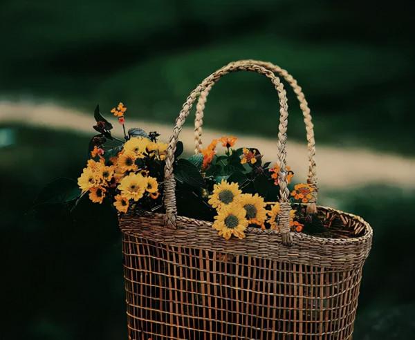 偏是孤眠者 愁心此夜生,十四首不寐的詩詞,寫給失眠者 偏是孤眠者 愁心此夜生,十四首不寐的詩詞,寫給失眠者