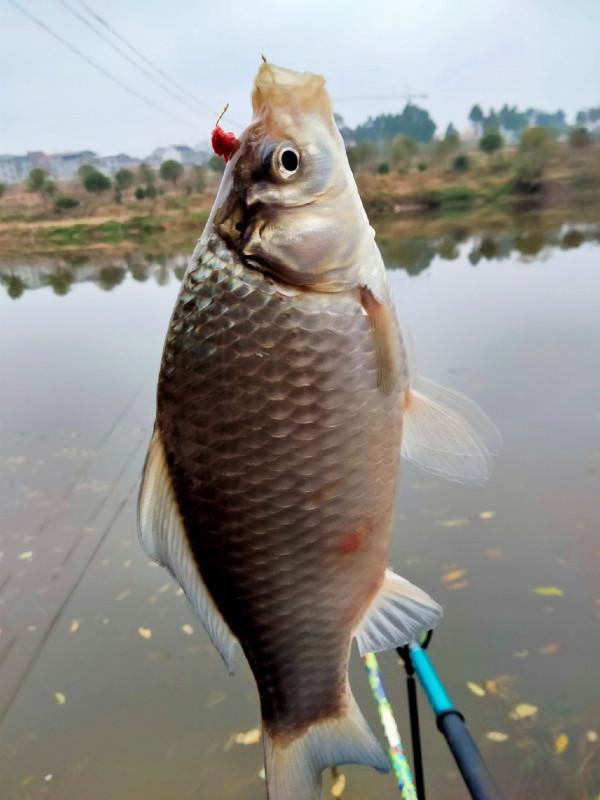 垂釣之旅——日行千里，只為漁你相見