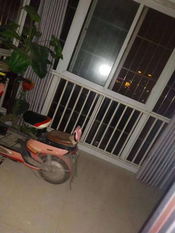 一個快四十的大齡青年決定讓父母快樂16 一個快四十的大齡青年決定讓父母快樂16