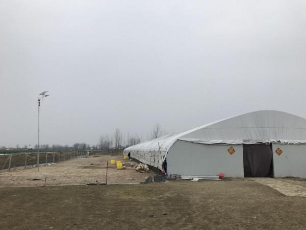 農場開工只請10人，數量是前幾年的一半，為什麼減少了這麼多？