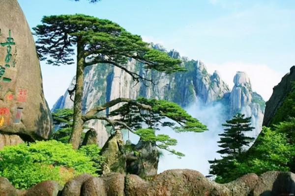 毛主席為何一生沒上黃山？