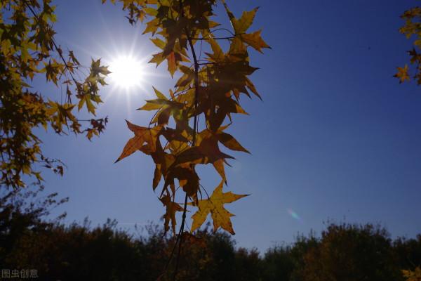 人,越寬和,越高貴 人,越寬和,越高貴