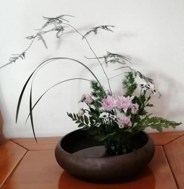 學習插花,瞭解歷史文化,修身養性 學習插花,瞭解歷史文化,修身養性