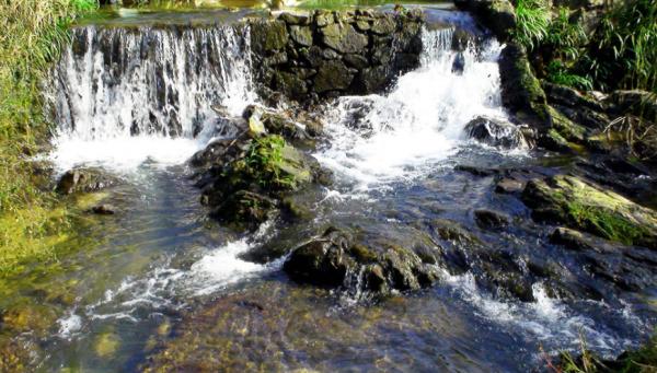 97歲高齡的葉嘉瑩：我一生遭遇的挫折，都是用李商隱的詩化解的
