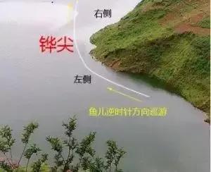 影響釣魚的10大因素