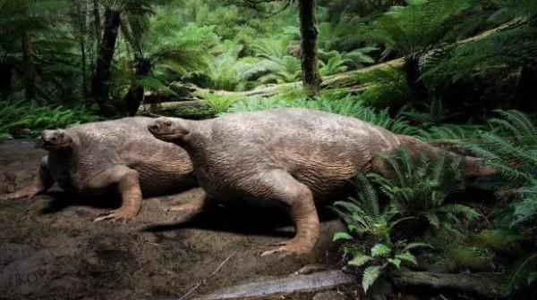 探訪巨獸:長6米重2噸的杯鼻龍,是二疊紀的大baby嗎? 探訪巨獸:長6米重2噸的杯鼻龍,是二疊紀的大baby嗎?